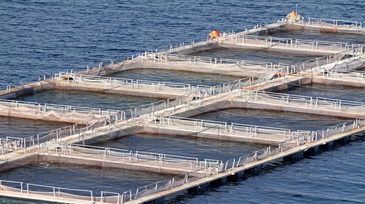 水產養殖(淡水)水質監測解決方案